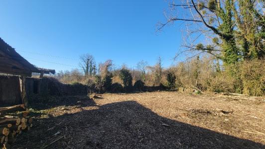 Annonce Vente Terrain Ocquerre 77