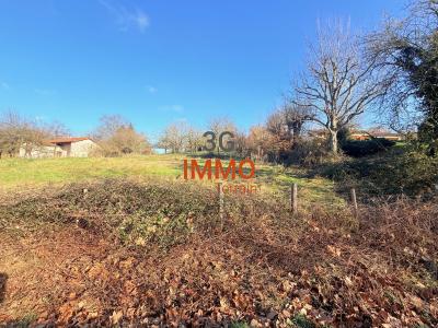 Annonce Vente Terrain Chatillon-sur-chalaronne 01