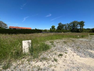 Annonce Vente Terrain Poncins 42