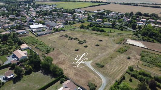 Acheter Terrain Benet 230000 euros