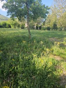 Acheter Maison Chomerac Ardeche