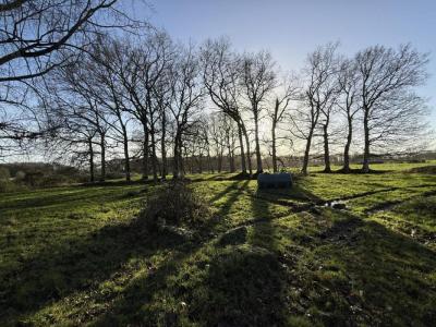 For sale Pleugueneuc 3 rooms 100 m2 Ille et vilaine (35720) photo 1