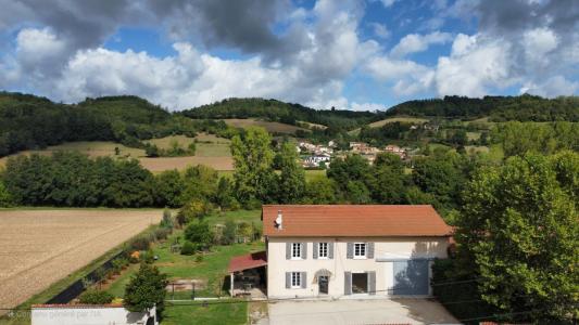 Acheter Maison Moidieu-detourbe 419000 euros