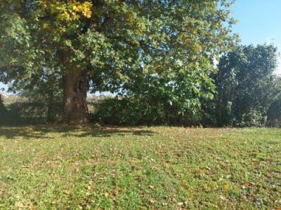 Acheter Maison Charenton-du-cher Cher