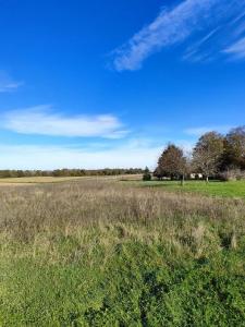 Annonce Vente Terrain  17