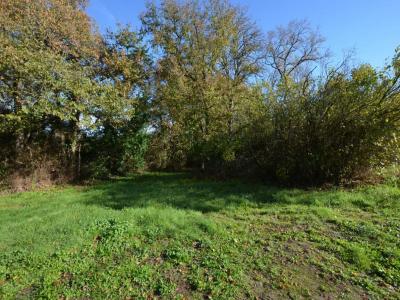 Acheter Terrain 7201 m2 Saint-lary