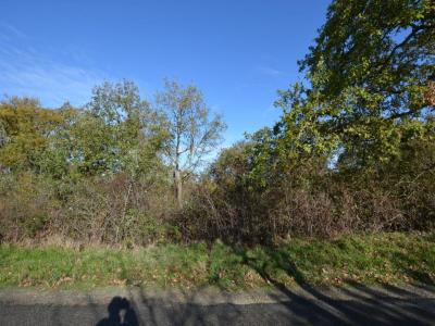 Acheter Terrain Saint-lary Gers