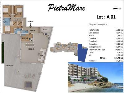 Acheter Appartement 205 m2 San-martino-di-lota