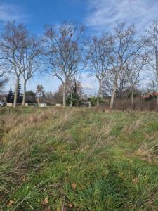 Acheter Terrain 1274 m2 Leguevin