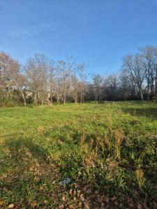 Acheter Terrain 3454 m2 Leguevin