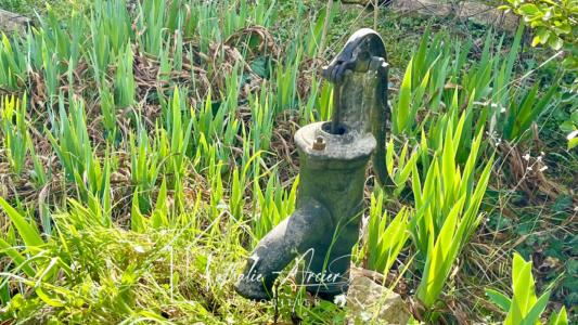 For sale Saint-hilaire 8 rooms 254 m2 Aude (11250) photo 3