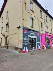 Annonce Vente Immeuble Decines-charpieu 69