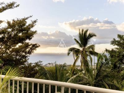 Annonce Vente Prestige Possession 974