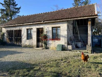 Annonce Vente Maison Arcis-sur-aube 10