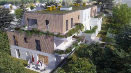 Annonce Location 2 pi�ces Appartement Chaingy 45