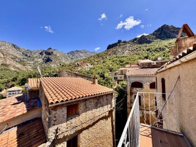 For sale Feliceto 4 rooms 88 m2 Corse (20225) photo 0