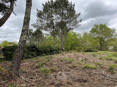 For sale 585 m2 Gironde (33730) photo 1