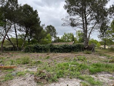 For sale 585 m2 Gironde (33730) photo 2