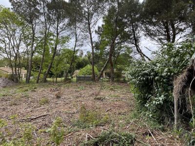 For sale 585 m2 Gironde (33730) photo 3