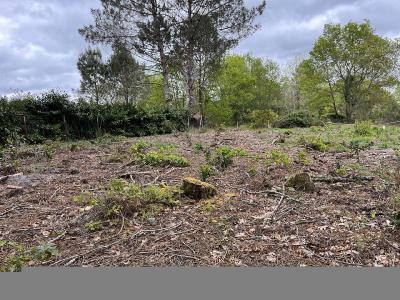 For sale 585 m2 Gironde (33730) photo 4