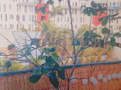 Annonce Vente Appartement Saint-pierre 974