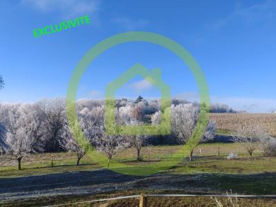 For sale Bossay-sur-claise 5 rooms 128 m2 Indre et loire (37290) photo 1