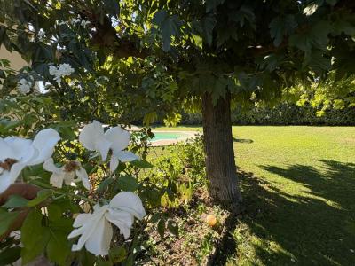 Annonce Vente 5 pi�ces Maison Isle-sur-la-sorgue 84