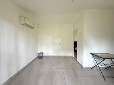 Annonce Location 2 pi�ces Maison Porto-vecchio 20