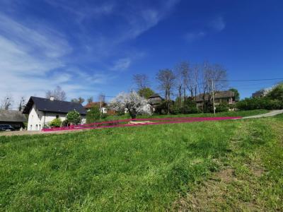 For sale Massingy 5 rooms 111 m2 Haute savoie (74150) photo 4