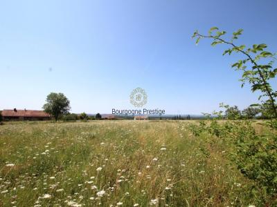 Acheter Prestige Tournus Saone et loire