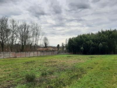 For sale Blanquefort 5 rooms 105 m2 Gironde (33290) photo 3