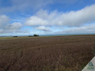 Acheter Maison Flotte Charente maritime