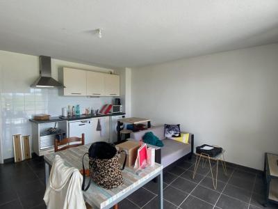 Annonce Location 2 pi�ces Appartement Castelmaurou 31