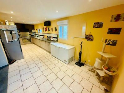 Annonce Vente 6 pi�ces Maison Epineau-les-voves 89