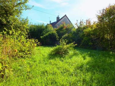 Acheter Maison Asnieres-en-montagne 79000 euros