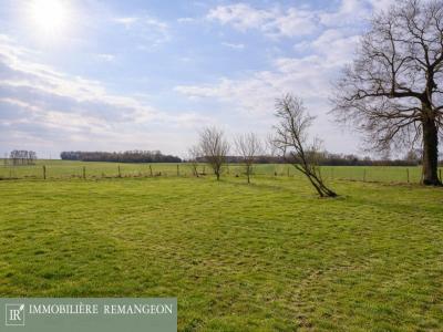 Annonce Vente 6 pi�ces Maison Vierzon 18