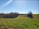 Vente Terrain Marciac  9010 m2