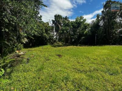 Annonce Vente Terrain Saint-benoit 974