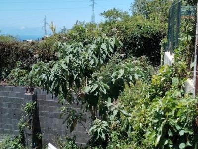 Annonce Vente Terrain Sainte-clotilde 974