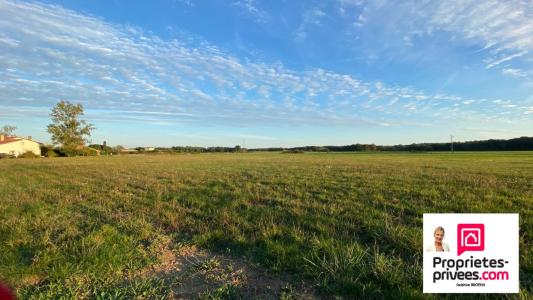 For sale Castelnau-d'estretefonds 848 m2 Haute garonne (31620) photo 3