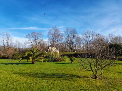 For sale Oloron-sainte-marie 5 rooms 109 m2 Pyrenees atlantiques (64400) photo 4