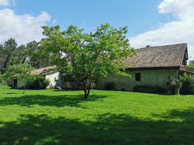 Acheter Maison 198 m2 Bazas