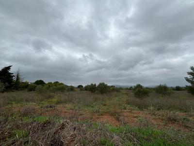 Acheter Terrain Clermont-l'herault Herault