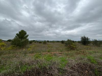 Acheter Terrain Clermont-l'herault 87000 euros