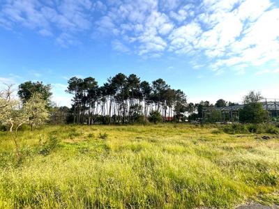 Acheter Maison Audenge Gironde