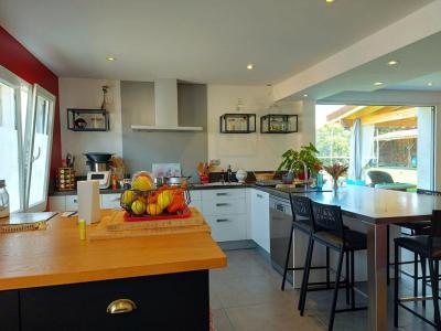 Acheter Maison 219 m2 Passage