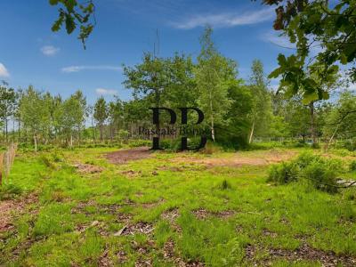 For sale Vendays-montalivet 2327 m2 Gironde (33930) photo 0