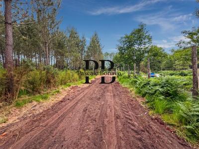 Acheter Terrain 2327 m2 Vendays-montalivet