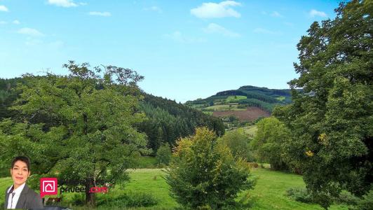 Acheter Maison Saint-vincent-de-reins Rhone