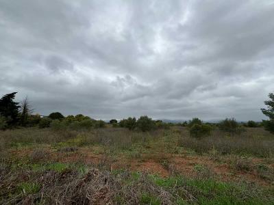 For sale Clermont-l'herault Herault (34800) photo 2